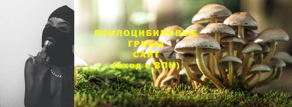 jwh Богородск