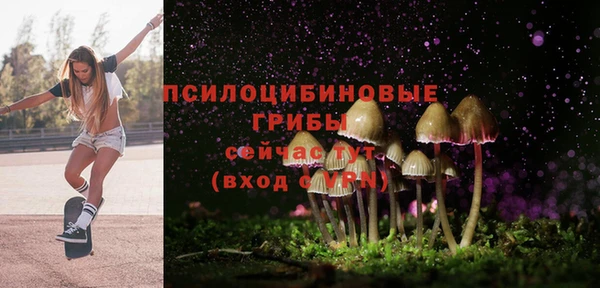 COCAINE Богданович