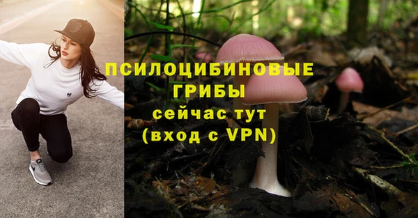 jwh Богородск