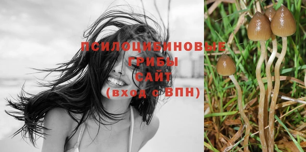 jwh Богородск