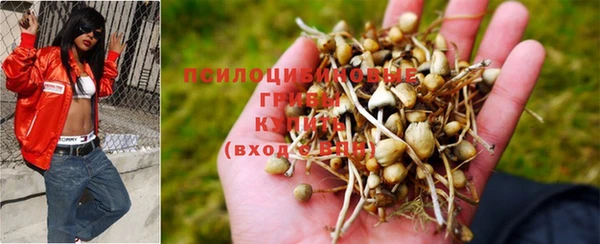 герыч Богородицк